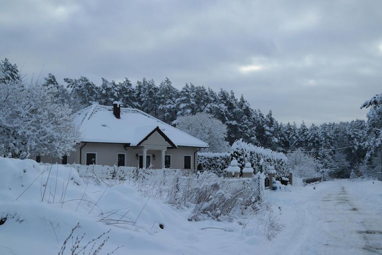Заснеженный загородный дом у тихой дороги среди зимнего леса