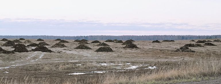 Куча свежего навоза на краю поля, готовая к разбрасыванию