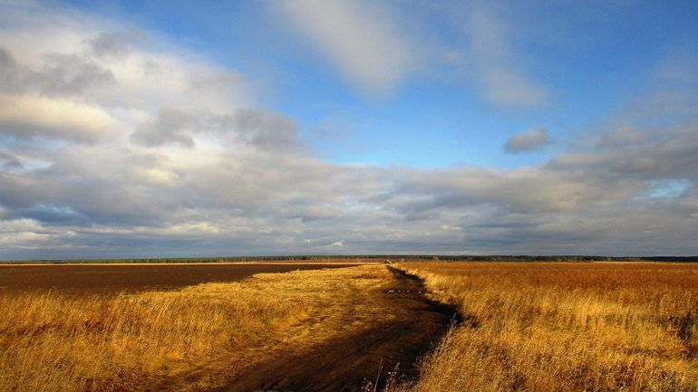 Лужи на грунтовой дороге среди поля после дождя на тяжёлой почве