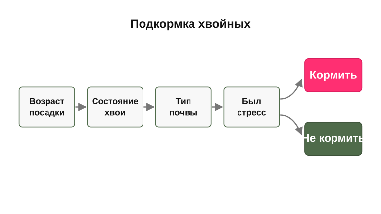 Нужна ли подкормка прямо сейчас