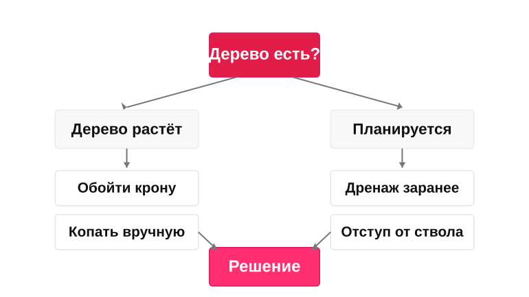 Как принять решение о дренаже рядом с деревом