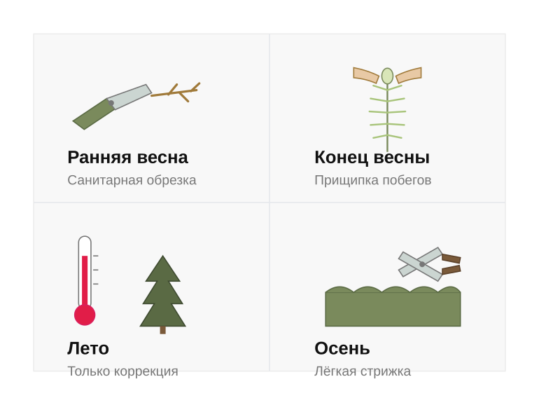 Сезонный календарь обрезки хвойных