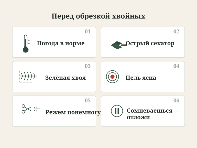 Памятка перед обрезкой хвойных