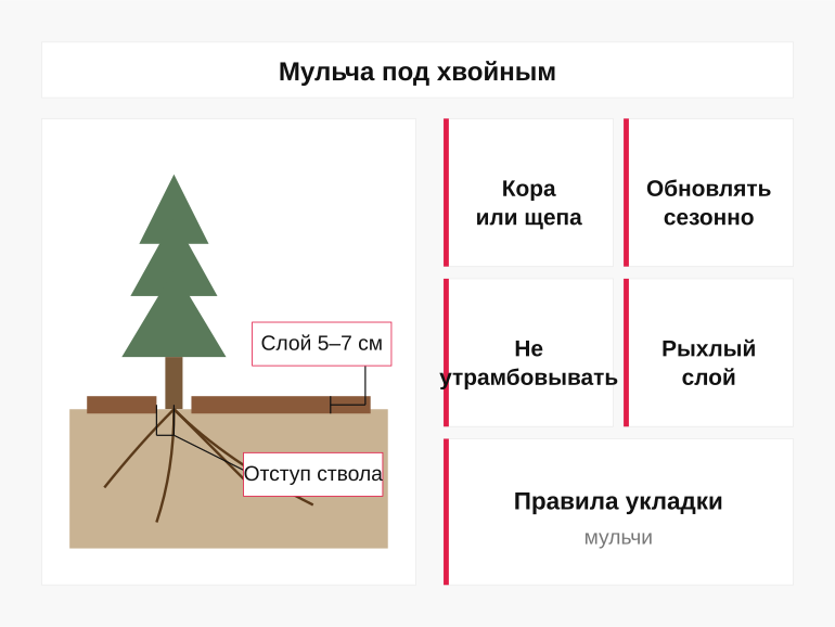 Памятка по мульчированию хвойных
