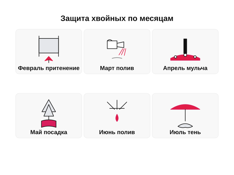 Памятка: защита хвойных в тёплый сезон