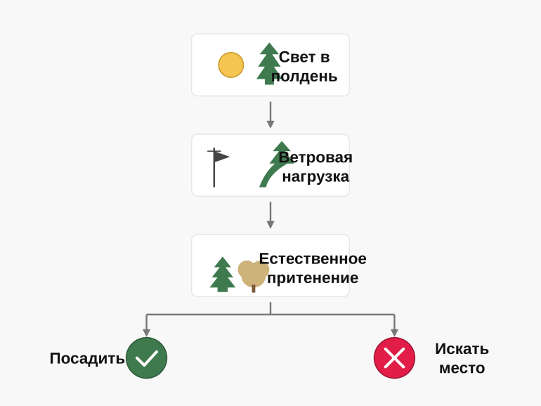 Как выбрать место для хвойного