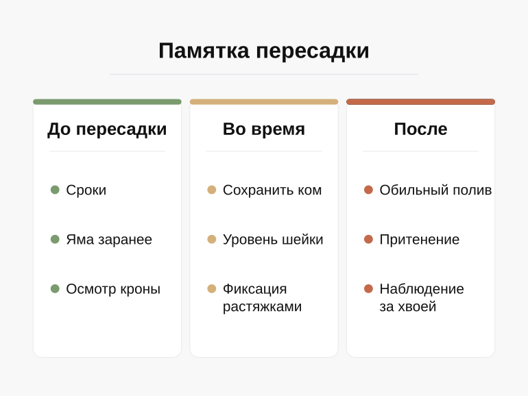 Памятка по пересадке хвойного