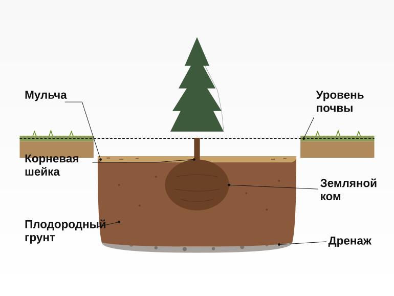 Устройство правильной посадочной ямы