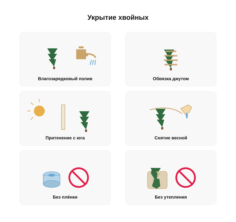 Памятка: зимнее укрытие хвойных