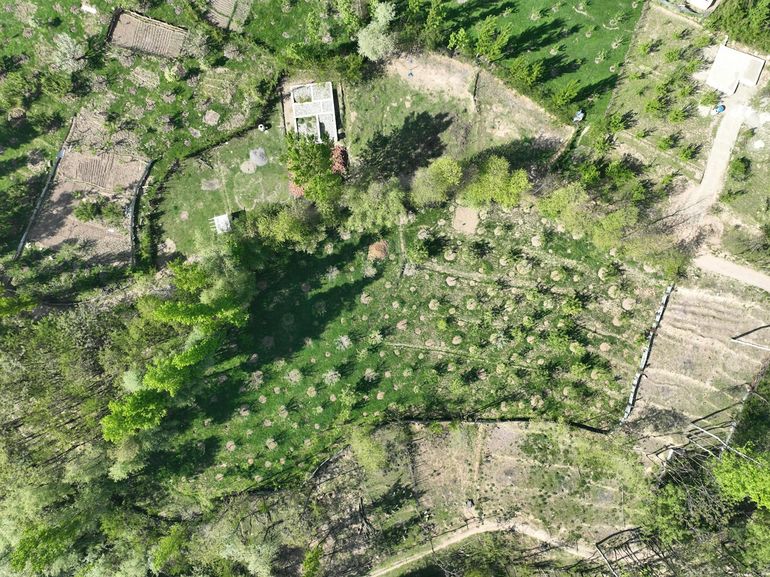 Сельская местность с участками земли и постройками с высоты птичьего полёта