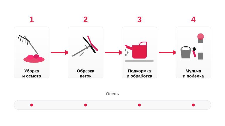 Логика осенних работ по сезону