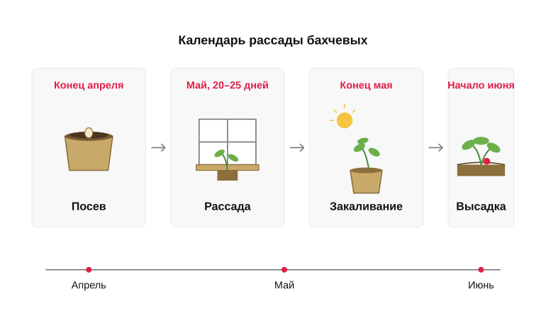 Календарь рассады бахчевых для Подмосковья