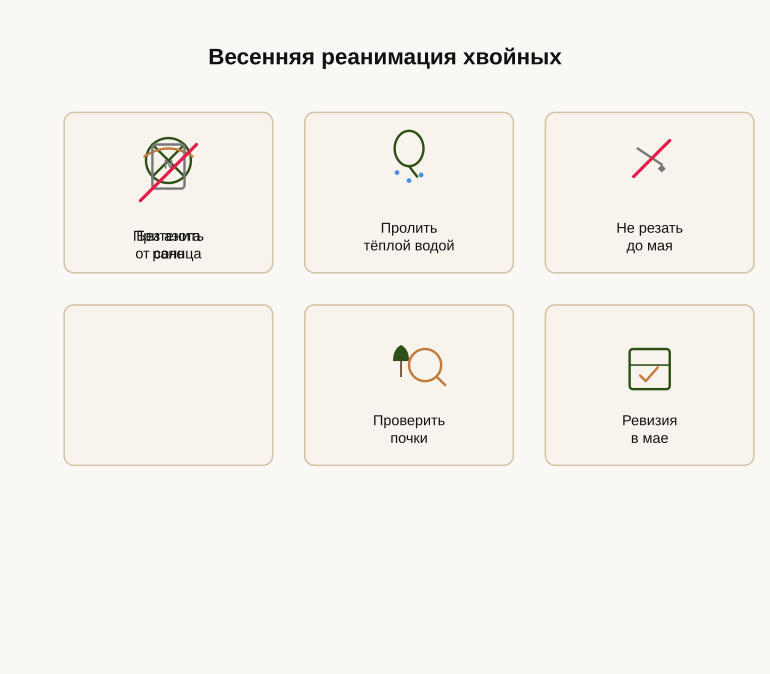 Памятка владельцу участка: весенняя реанимация вечнозелёных