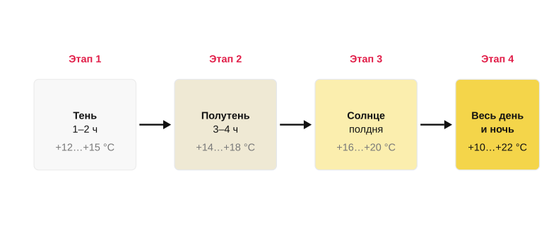 Схема закаливания рассады по дням