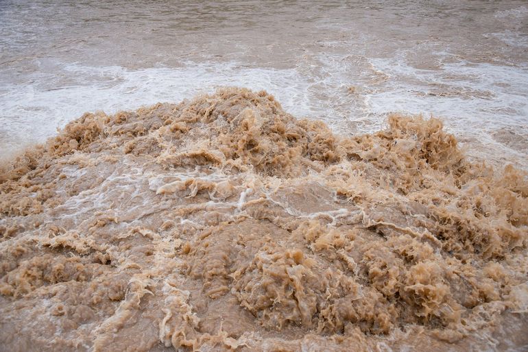 Мутная вода среди земли и растительности как образ загрязнённого водоносного слоя