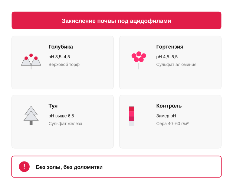 Памятка по закислению почвы под ацидофилами