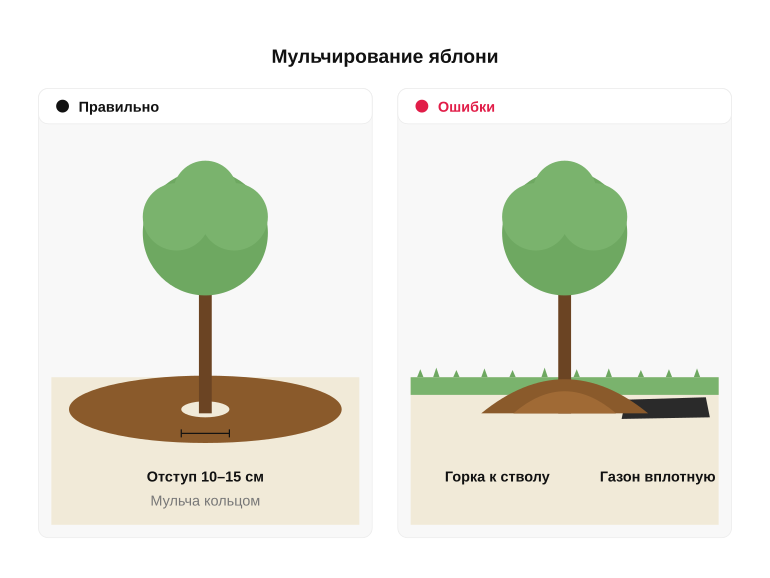 Памятка: приствольный круг без ошибок