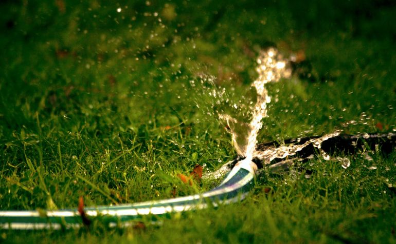 Струя воды из садового шланга поливает зелёную траву на участке