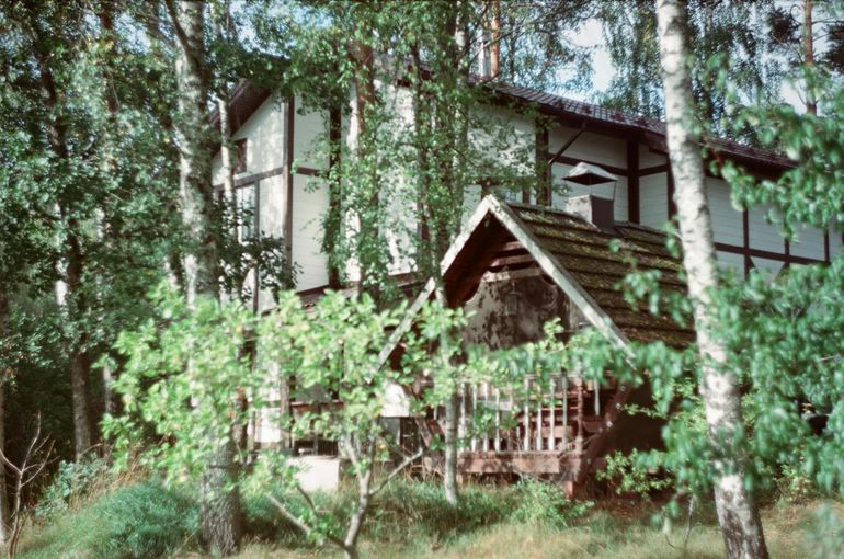Деревянный дачный дом среди берёз в летнем лесу