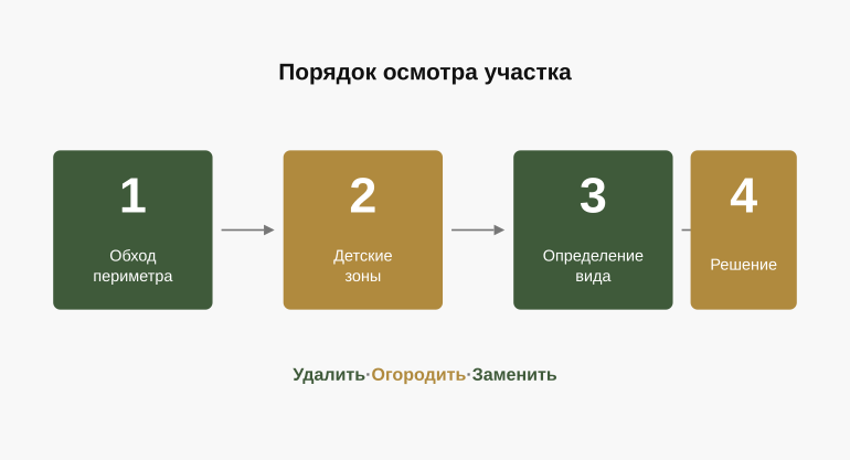 Логика осмотра участка
