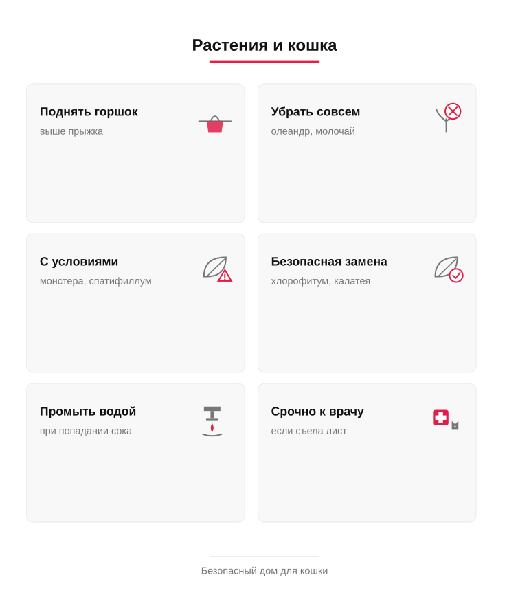 Памятка: ядовитые растения и дом с детьми и животными