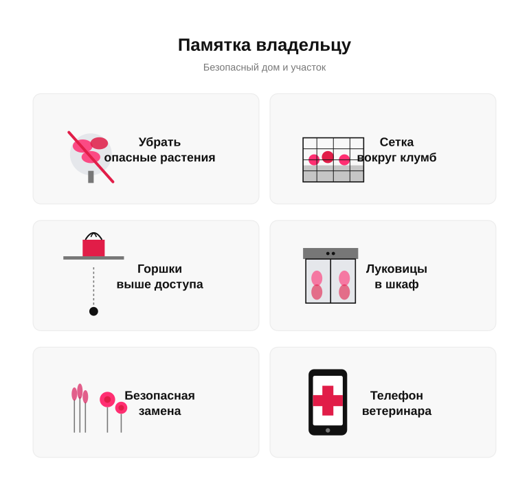 Памятка владельцу: безопасный дом и участок для питомца