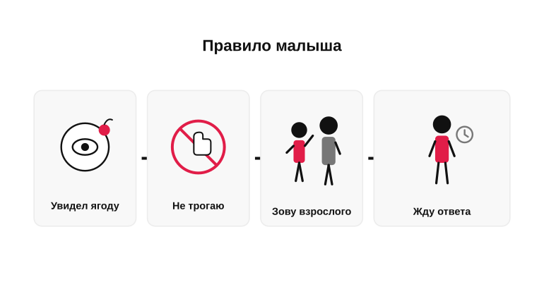 Правило для малыша: увидел ягоду — что делать