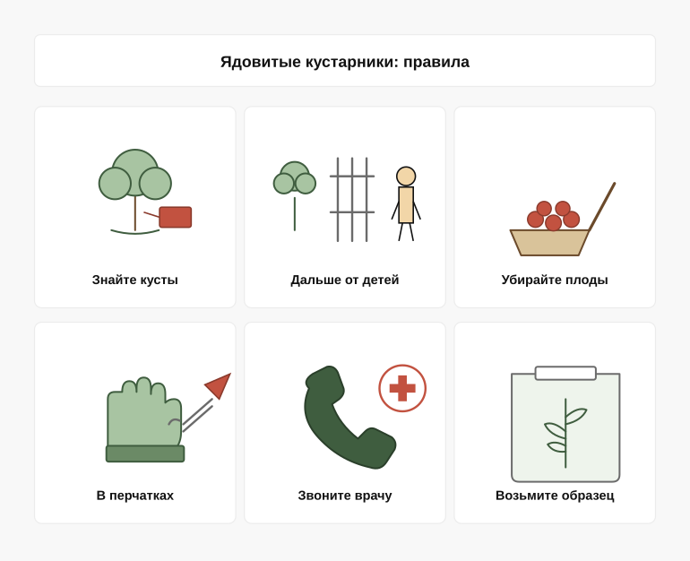 Памятка: ядовитый кустарник на участке