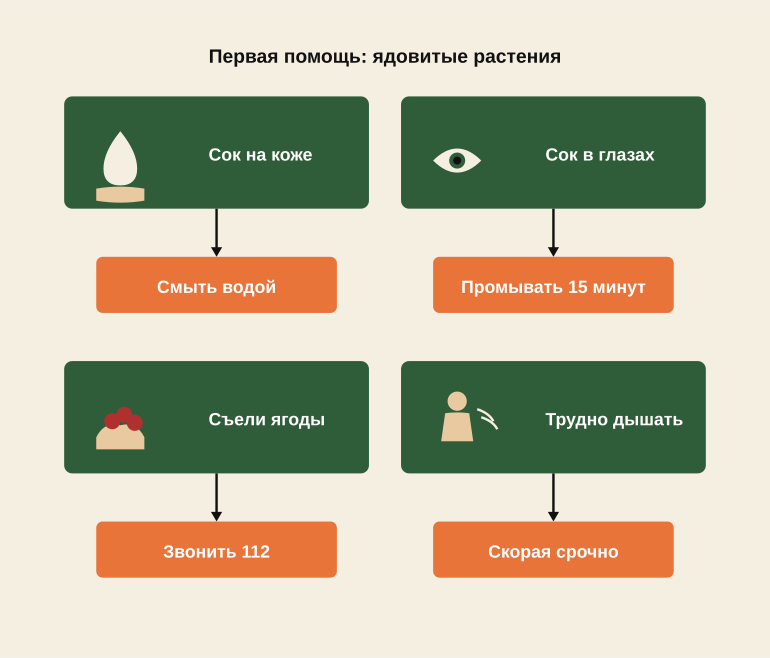 Три сценария контакта и первая реакция