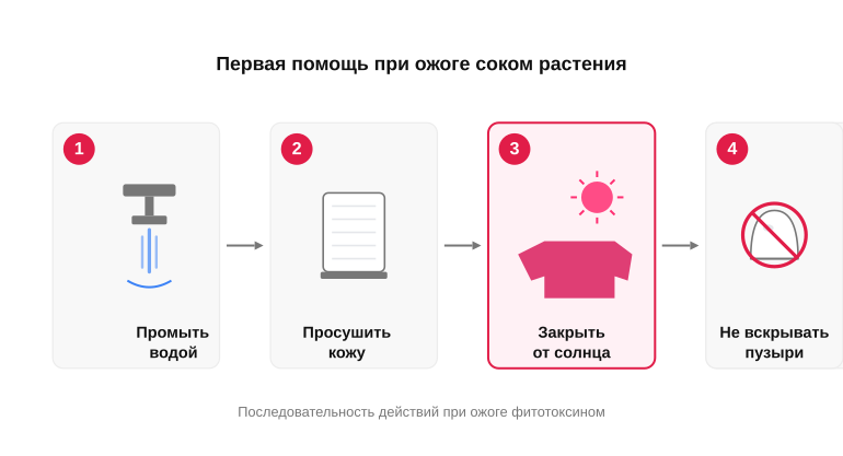Алгоритм при попадании сока на кожу