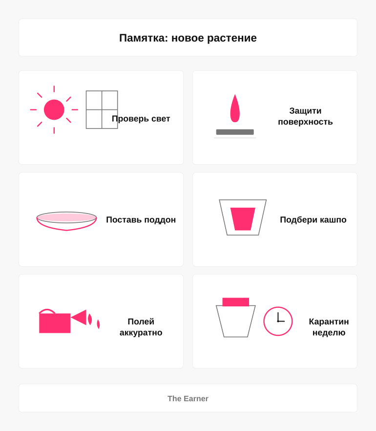 Памятка перед расстановкой растений