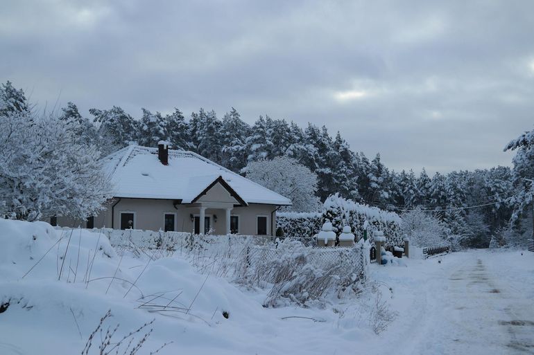 Заснеженный загородный дом у тихой дороги среди зимнего леса