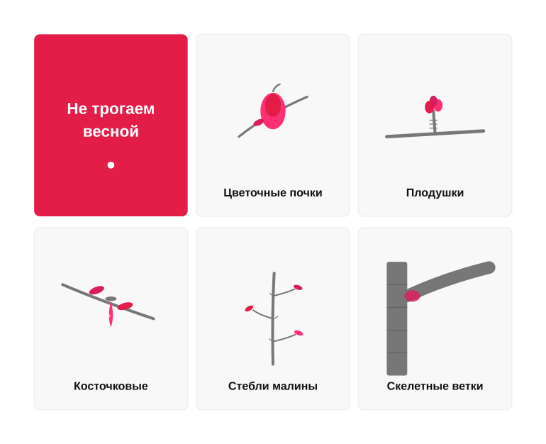 Памятка: что весной не трогаем
