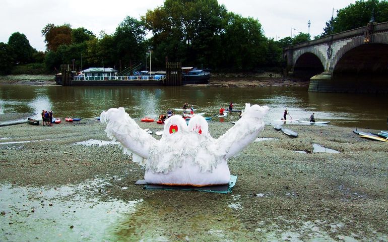Скопление влажных салфеток в воде у берега как следствие смыва в канализацию