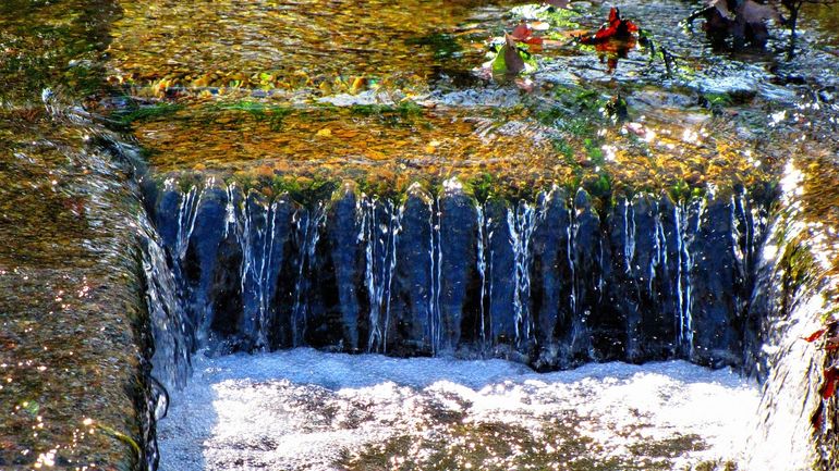 Поток воды уходит в сливное отверстие раковины на кухне